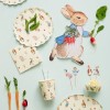 Pratos Peter Rabbit